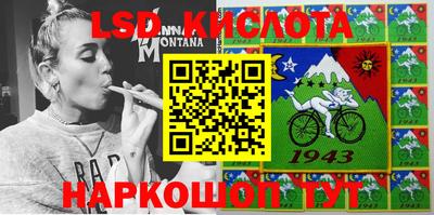 амф Камышлов