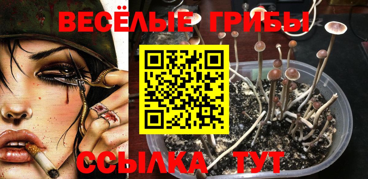 Гагарин  Псилоцибиновые грибы GOLDEN TEACHER  Вход с VPN 
